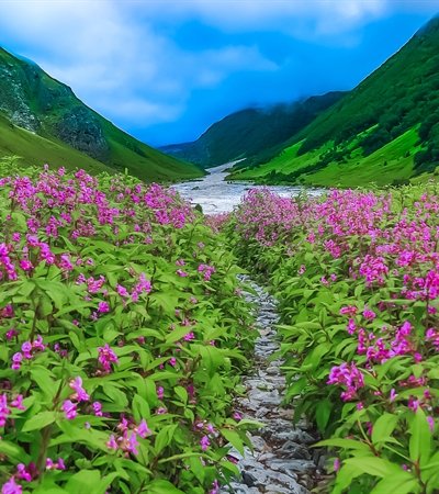 img-Valley-of-flowers-trek-Bikat-Adventures
