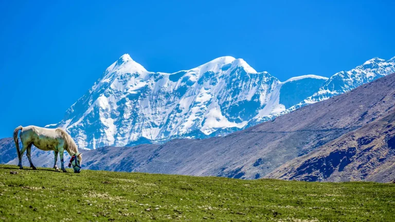 1e602c59-bdd0-49a6-ba8e-0de877e32793_Ali+Bedni_AB_Roopkund_Sadguru+Prajapati_Bedni+Meadows_Mt.trisul_