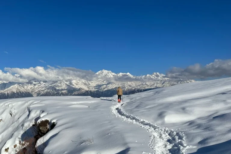 789d75b6-1448-4144-a566-77f5113107b7