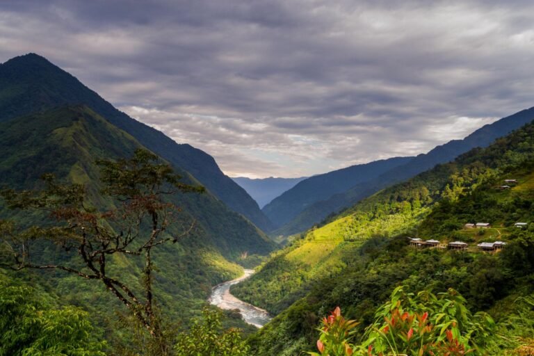 Menchukha