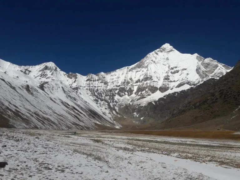 Nanda-Devi-East-Base-Camp-Trek-mountain-view