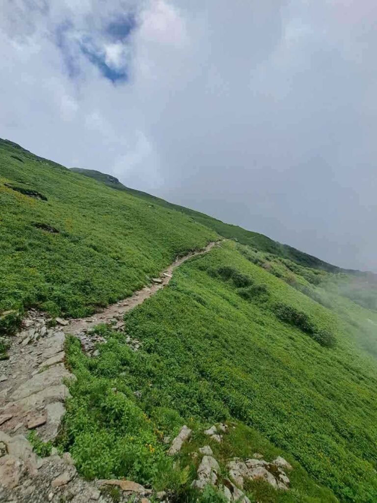 fachukandipass1