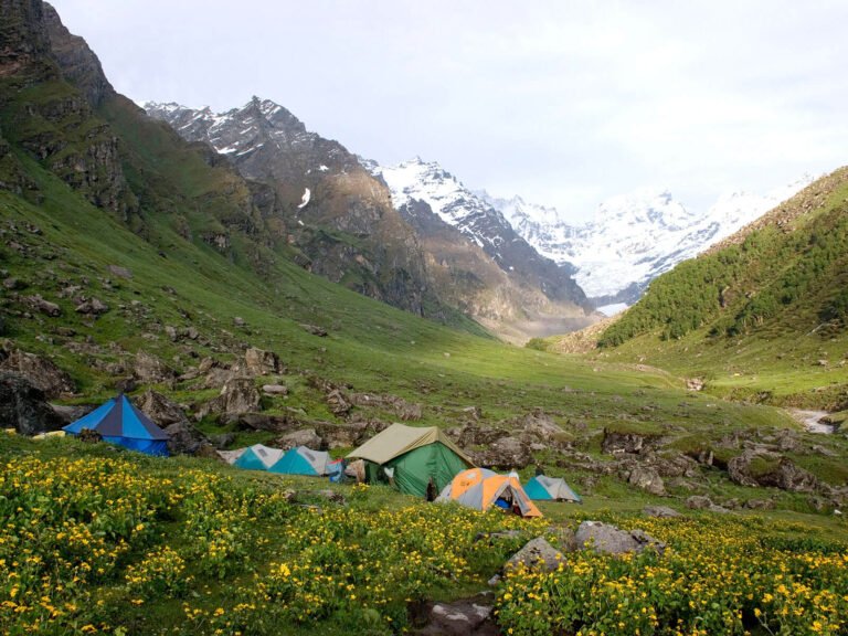 suryatop