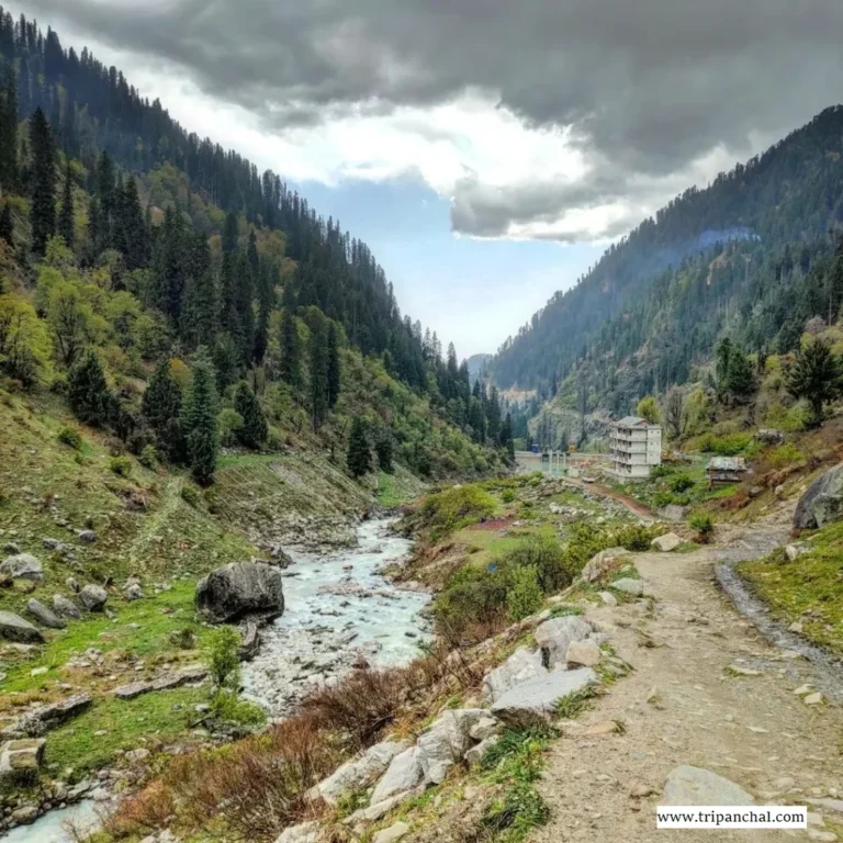 waichin-valley-1024x1024.png
